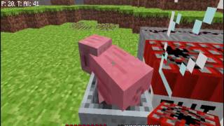 Minecraft Cannon test 9  Animals cannon [upl. by Rj552]