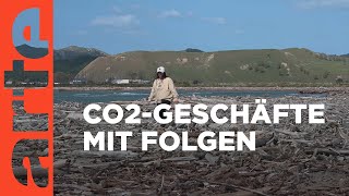 Neuseeland Carbon Farms mit Nebenwirkungen  ARTE Reportage [upl. by Schnur]