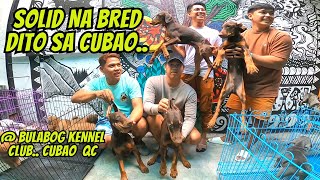 UPDATE SA MINI PET MARKET SA CUBAO QC EVERY WED [upl. by Sternberg]