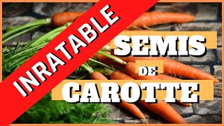 semis de carottes inratable [upl. by Yojal]