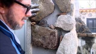 Tutorial Como revestir una pared con piedras [upl. by Enidualc]