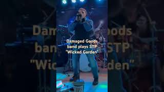 The Damaged Goods in wicked Boston band live Also facebook Instagram [upl. by Yltsew]