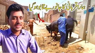 Mara Qurbani Ka Janwar Bekabu Ho Gaya [upl. by Tarrah]