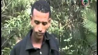 Kadir Martu  Mahbuubaa Oromo Music [upl. by Einnil317]