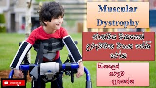 Muscular Dystrophyජානමය මාංශපේෂි රෝගcauseshow it happenstreatmentssinhalahow to prevent [upl. by Mendez]