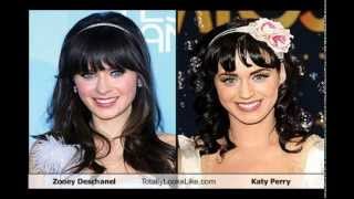 Celebrity Look Alikes [upl. by Leoine]