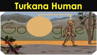 Who was Turkana Human  Complete Early Human Skeleton Turkana Boy Turkana Human History [upl. by Gusba492]