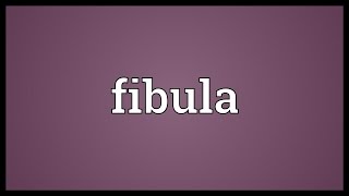 Fibula Meaning [upl. by Erinn]