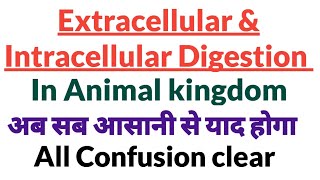 Extracellular amp Intracellular Digestion Or Both types of Digestion in Animal kingdom [upl. by Pedaias]