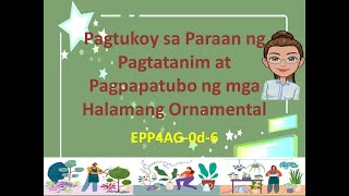 EPP4 AGRIKULTURA PAGTUKOY SA PARAAN NG PAGTATANIM AT PAGPAPATUBO NG MGA HALAMANG ORNAMENTAL [upl. by Ion]