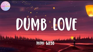 Mimi Webb  Dumb Love Lyrics [upl. by Ecirted]