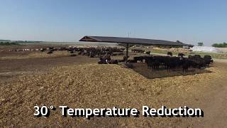 Shade Structure  Strobel Super Shade  Protect Cattle amp Horses [upl. by Pedroza]