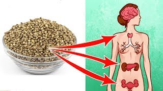 5 Amazing Health Benefits Of Hemp Seeds That Can Change Your Life [upl. by Dorweiler]