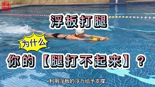 FREE TEACH｜自由泳「浮板打腿入門」：為什麼你的腿打不起來？ [upl. by Thomasine88]