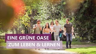 11 gute Gründe für die Uni Hohenheim Schönster Campus des Landes 10 [upl. by Luise598]