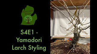 S4E1  Yamadori Larch Styling [upl. by Halfdan339]