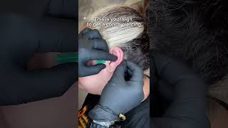 CONCH PIERCING undergroundbodypiercing [upl. by Sathrum46]