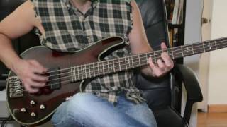 Schecter Hellraiser 4 diamond series bass review and play through [upl. by Lennie]