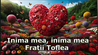 Fratii Toflea  Inima mea inima mea [upl. by Clemmy]