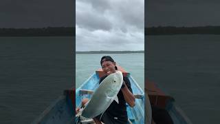 catch and cook Jack Crevalle mancing mancingikan jackcrevalle fishing handlinefishing [upl. by Korns663]