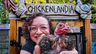 Welcome to Chickenlandia 2025  NEW Trailer [upl. by Aiden]