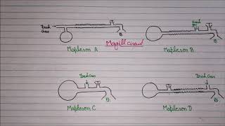 Mapleson C  Streamlined Design [upl. by Aliuqaj]