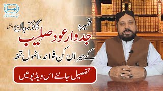 Benefits of Khameera Gaozaban Jadwar Ood Saleeb In Daily Life [upl. by Anitsuj]