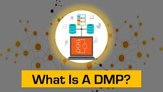 What Is a DMP Data Management Platform [upl. by Navetse504]