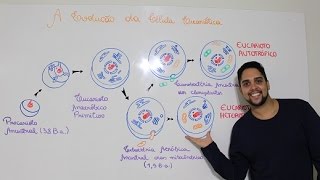 A EVOLUÇÃO DA CÉLULA EUCARIÓTICA [upl. by Niela]