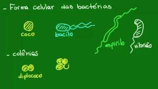 Formas da célula bacteriana  Diversidade dos Seres Vivos  Biologia [upl. by Beatriz]