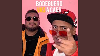 Bodeguero Vas a Caer [upl. by Jaine]