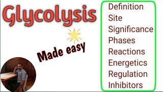 Glycolysis Definition  Site  Significance  Phases  Energetics  Regulation  Inhibitors [upl. by Sig]