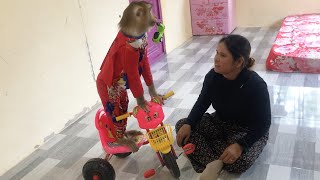 Handsome Jason Boast Confident To Ride New Bicycle When Mom Look [upl. by Aivatco]