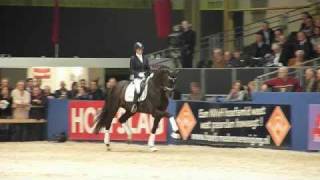 wwwreitschulesandbrinkde Bretton Woods Stallion Show sHertogenbosch 2011 [upl. by Sedicla]