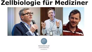 Vorlesung Zellbiologie für Mediziner Teil 1  Einführung und Membranen [upl. by Enybor]