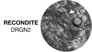 Recondite  DRGN2 HFT035 Official Audio [upl. by Senskell304]