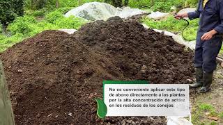 Aprenda a fertilizar los suelos con el estiércol de conejo  La Finca de Hoy [upl. by Noira]