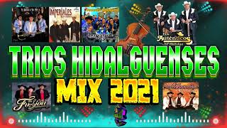 TRIOS DE LA HUASTECA HIDALGUENSES MIX 2021 [upl. by Timmi]