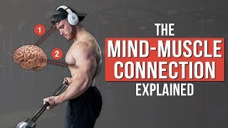 How To Use The MindMuscle Connection for Growth What The Science Says [upl. by Clarette]