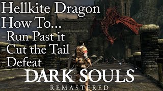 Dark SoulsRemastered  How To Run Past Cut the Tail amp Defeat Hellkite Dragon [upl. by Tteragram]