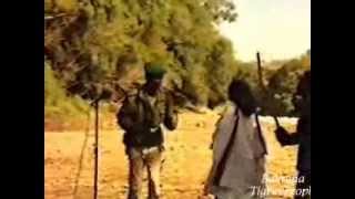 TPLF Song  Ms Hzbna ምስ ህዝብና [upl. by Solakcin]