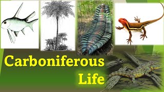 Life In The Carboniferous Period [upl. by Mays88]