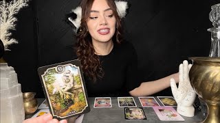 What Does Your Future Spouse Look Like  Pick A Card Tarot [upl. by Skiba]