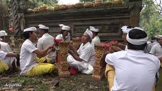 Tabuh Bebarongan Klasik Desa Bukit  Tampaksiring [upl. by Bruis]