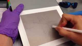 Writing Without Ink on a Mechanochromic Elastomer Film [upl. by Hooper50]