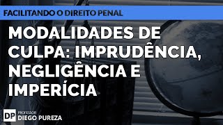 Modalidades de Culpa IMPRUDÊNCIA NEGLIGÊNCIA e IMPERÍCIA art 18 II do Código Penal [upl. by Lamoureux]