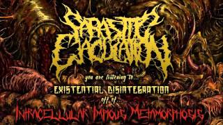 Parasitic Ejaculation  Existential Disintegration NEW SONG 2016 [upl. by Arret]