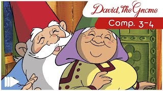 David the Gnome  34  Full Episodes  Compilations [upl. by Mellie]