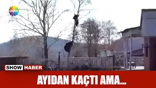 Ayıdan kaçtı ama [upl. by Amre821]