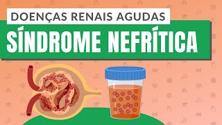 DOENÇAS RENAIS AGUDAS  PARTE 3 Síndrome nefrítica [upl. by Arries572]